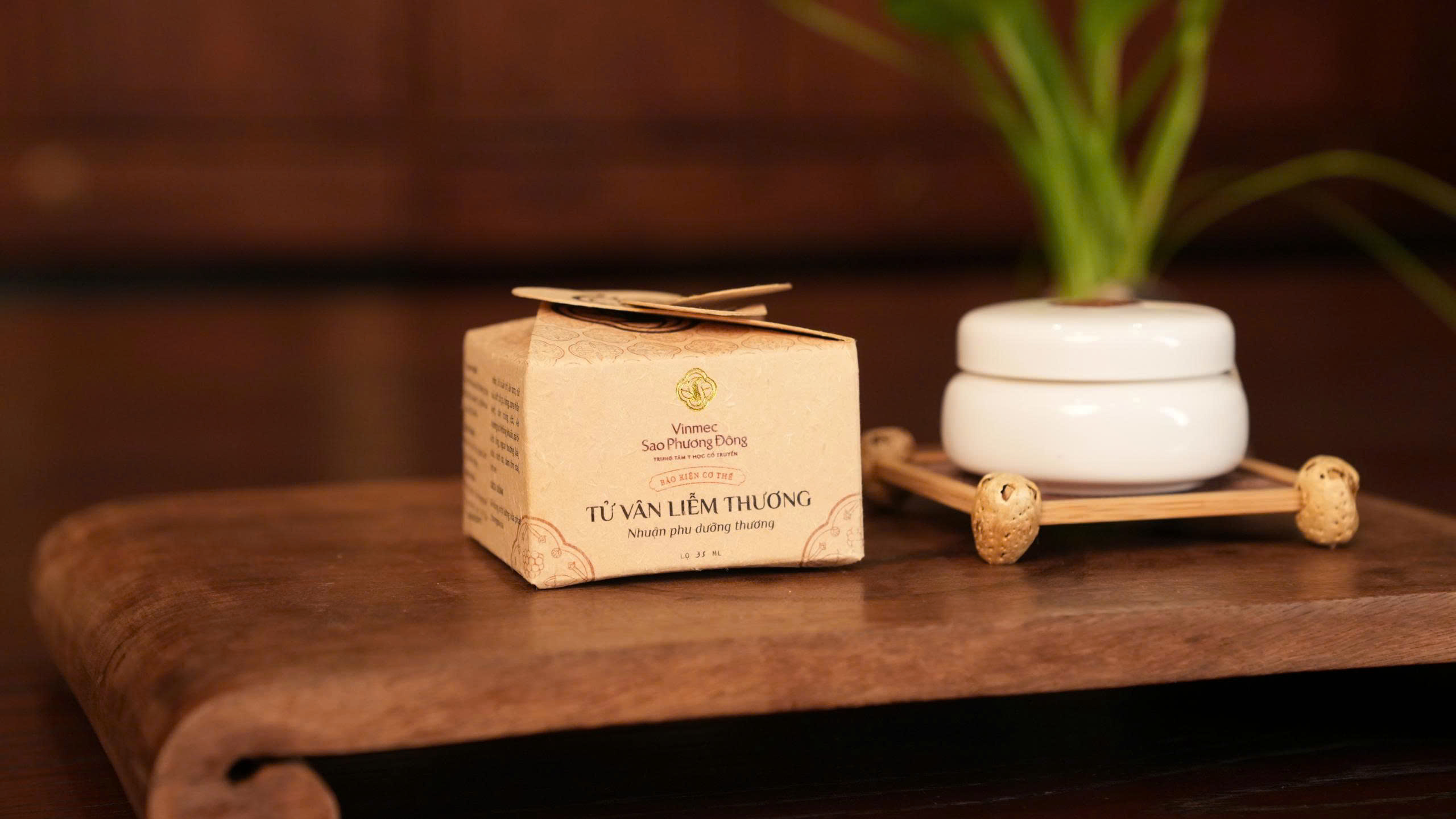 Tử vân liễm thương