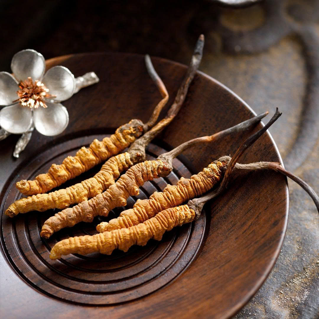 Đông Trùng Hạ Thảo